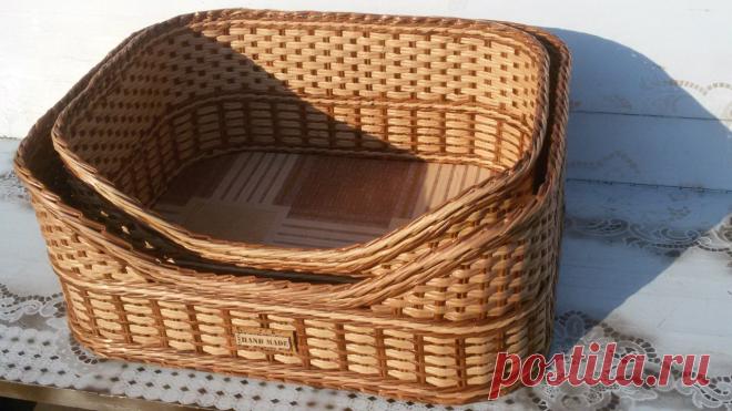 Фотографии на стене Ольги – 205 фотографий