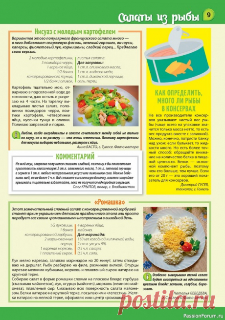 kollekcija-kulinarnyh-receptov-v-zhurnale-nasha-kuhnja-salaty-i-zakuski-5-2024-images-big.jpg (562×800)