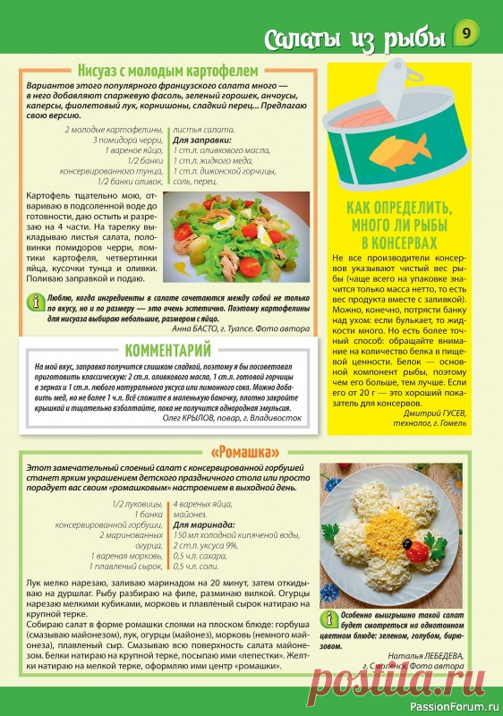 kollekcija-kulinarnyh-receptov-v-zhurnale-nasha-kuhnja-salaty-i-zakuski-5-2024-images-big.jpg (562×800)