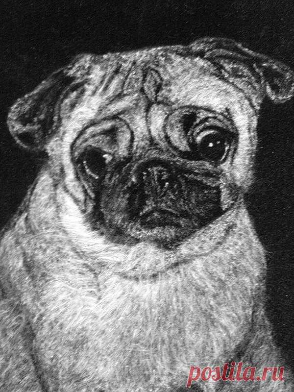 Удивительные картины из тополиного пуха