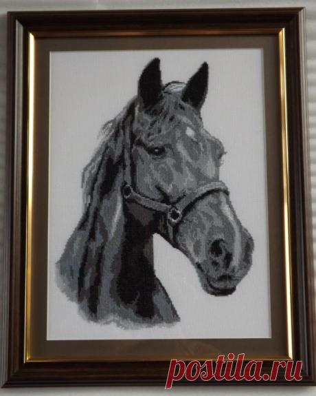 Мои крестики (2) / Вышивка. Работы пользователей / PassionForum - мастер-классы по рукоделию