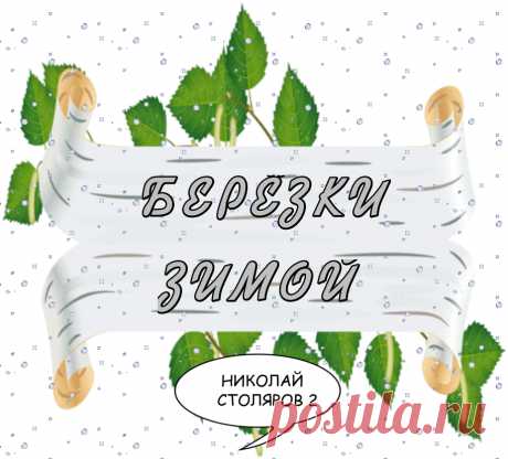 БЕРЁЗКИ ЗИМОЙ ~ Открытка (плейкаст)