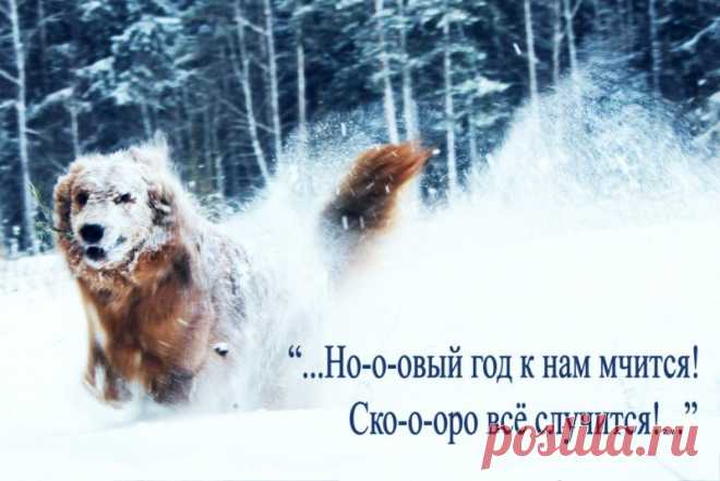 Советы от Дардо Кусто, на каждый месяц 2018 года. 
ЯНВАРЬ. Месяц обновления и волшебства
Хранитель: Ворон
Тотемы: Белый Гусь, береза, кварц
Цвет: черный
Откройте двери своей жизни для чудес и светлой магии: гадайте, проводите ритуалы, общайтесь с анг…