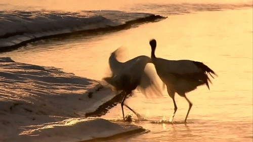 ОТКРЫТКИ С ПЕЙЗАЖАМИ И ПРИРОДОЙ, ЖИВОПИСЬ - АНИМАЦИОННЫЕ - КРАСИВЫЕ КАРТИНКИ. ВИДЕО. МИР, В КОТОРОМ МЫ ЖИВЕМ! - Группы Мой Мир