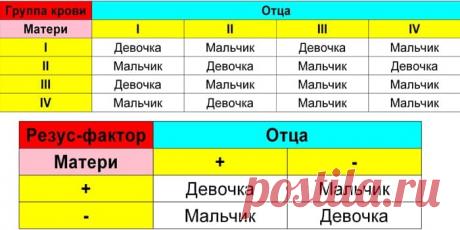 Как забеременеть мальчиком: 100 процентов, с первого раза, по овуляции, таблица, отзывы, позы, советы, по обновлению крови, приметы, народные способы
