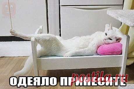 ■▄■ Формула Любви ■▄■