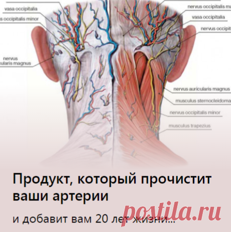 Продукт, который прочистит ваши артерии
и добавит вам 20 лет жизни..ᅠᅠᅠᅠᅠᅠᅠᅠᅠᅠᅠᅠᅠᅠᅠᅠᅠᅠᅠᅠᅠᅠᅠᅠᅠᅠᅠᅠᅠᅠᅠᅠᅠᅠᅠᅠᅠᅠᅠᅠᅠᅠᅠᅠᅠᅠᅠ
ᅠᅠᅠᅠᅠᅠᅠᅠᅠᅠᅠᅠᅠᅠᅠᅠᅠᅠᅠᅠᅠᅠᅠᅠᅠᅠᅠᅠᅠᅠᅠᅠᅠᅠᅠᅠᅠᅠᅠᅠᅠᅠᅠ

ᅠᅠᅠᅠᅠᅠᅠᅠᅠᅠᅠᅠᅠᅠᅠᅠᅠᅠᅠᅠᅠᅠᅠᅠᅠᅠᅠᅠᅠᅠᅠᅠᅠᅠᅠᅠᅠᅠᅠᅠᅠᅠᅠᅠᅠᅠᅠ
ᅠᅠᅠᅠᅠᅠᅠᅠᅠᅠᅠᅠᅠᅠᅠᅠᅠᅠᅠᅠᅠᅠᅠᅠᅠᅠᅠᅠᅠᅠᅠᅠᅠᅠᅠᅠᅠᅠᅠᅠᅠᅠᅠ


ᅠᅠᅠᅠᅠᅠᅠᅠᅠᅠ| готовые выкройки |