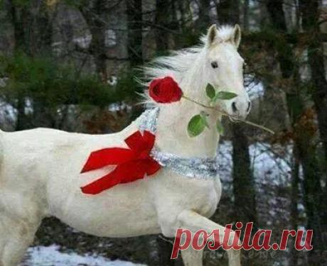 (8) Facebook