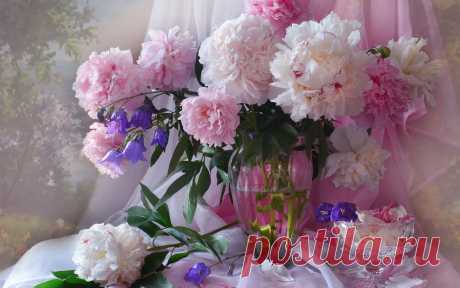 Pink-peonies-flowers-vase_1920x1200.jpg (1920×1200)