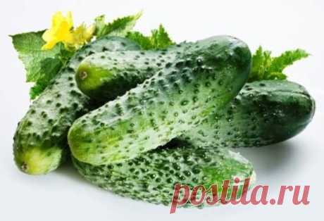 (1) Одноклассники