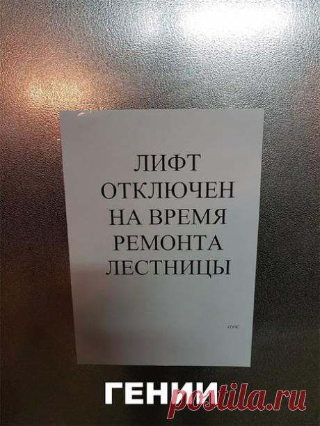 наша жизнь