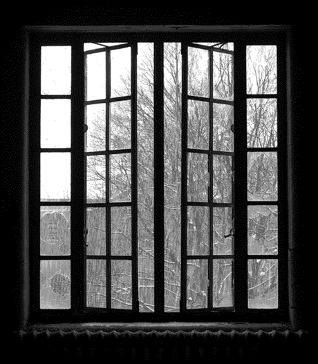 winter gif | Tumblr