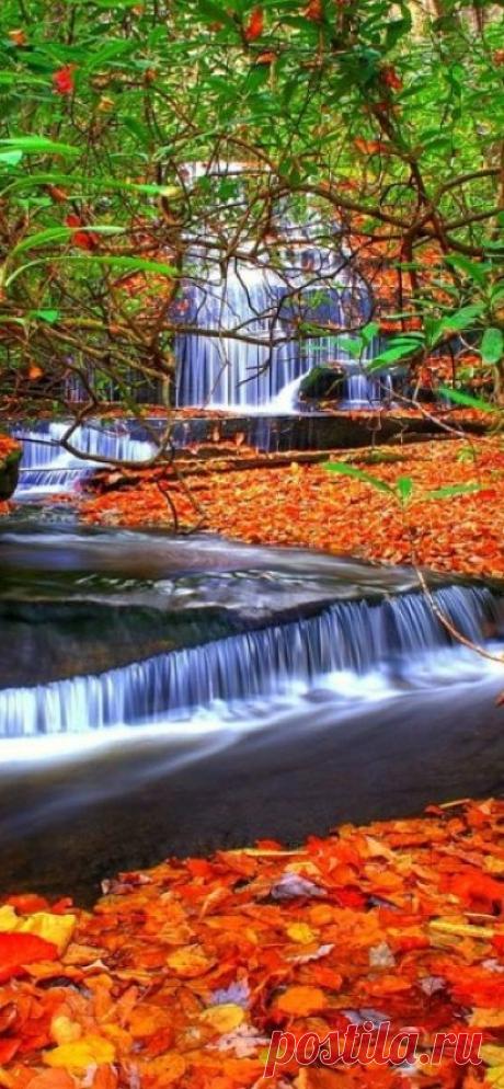 ‘Autumn Colors’ at G beautiful amazing - Beautiful Pictures Amazing