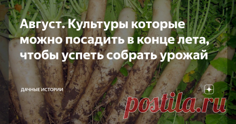 Август. Культуры которые можно посадить в конце лета, чтобы успеть собрать урожай Добрый день, дорогие друзья, садоводы и огородники! Приветствую вас в нашем сообществе "Дачные истории". Обычно к концу августа освобождается большая часть грядок. Если же лето выдается особенно жарким, то сроки уборки урожая могут еще сдвигаться. Чтобы земля не пустовала, грядки можно засеять заново. Какие культуры выбрать? До конца сезона остается не так много времени, поэтому огородникам с...