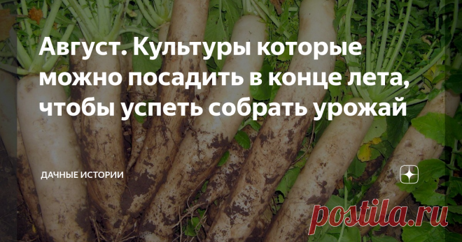 Август. Культуры которые можно посадить в конце лета, чтобы успеть собрать урожай Добрый день, дорогие друзья, садоводы и огородники! Приветствую вас в нашем сообществе 