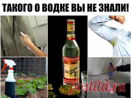 Такого о водке вы не знали! Жмите КЛАСС, сохраняйте в своей ленте.
20 вариантов использования ВОДКИ не по назначению
(ТАКОГО ВЫ РАНЬШЕ НЕ ЗНАЛИ!!!)
1. Чтобы без боли снять с раны лейкопластырь, пропитайте его водкой. Она растворит клей.
2. Водка борется с неприятным запахом от ног.
Причина запаха – бактерии, обитающие около потовых желез. Обтирая утром и вечером ноги водкой, вы ликвидируете эти бактерии, и некому будет «производить» неприятный запах.
3. Чтобы прочистить замазку швов в ванных