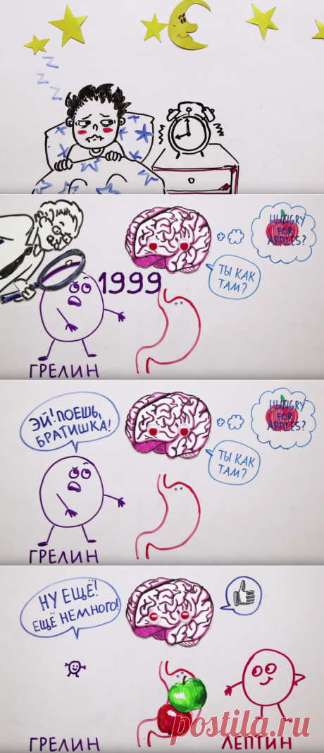 Почему мы набираем вес от недосыпа? / Будьте здоровы