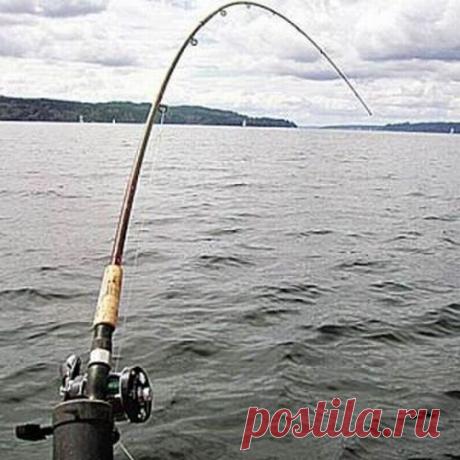 Хитрости спиннингиста | НА РЫБАЛКУ !!!!