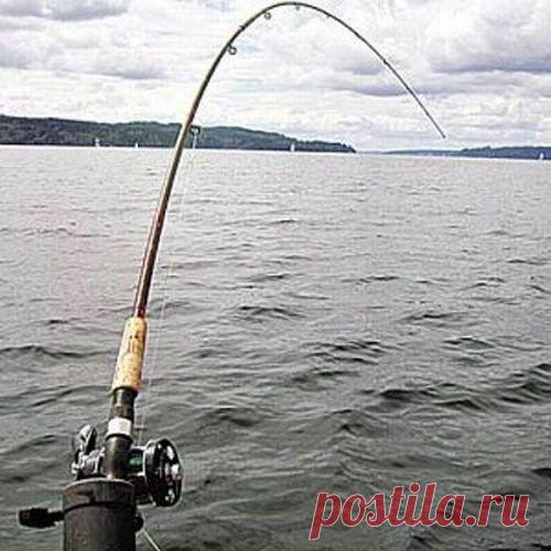 Хитрости спиннингиста | НА РЫБАЛКУ !!!!