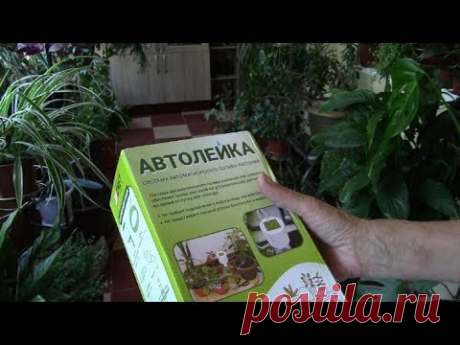 Комнатные растения, наш отпуск и автополив. Как работает автолейка!?