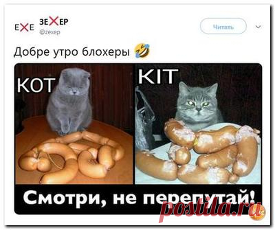 Миссия ООН передала Киеву рекомендации по закону о языке