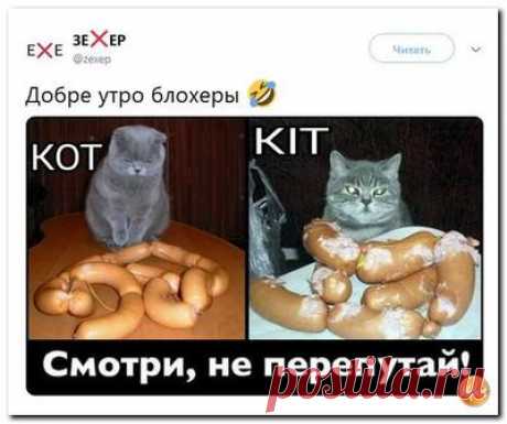 Миссия ООН передала Киеву рекомендации по закону о языке