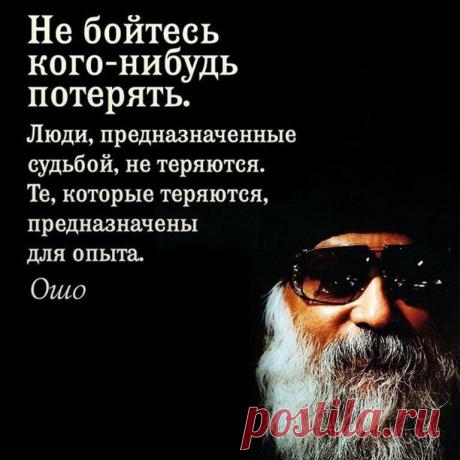 Без комментария