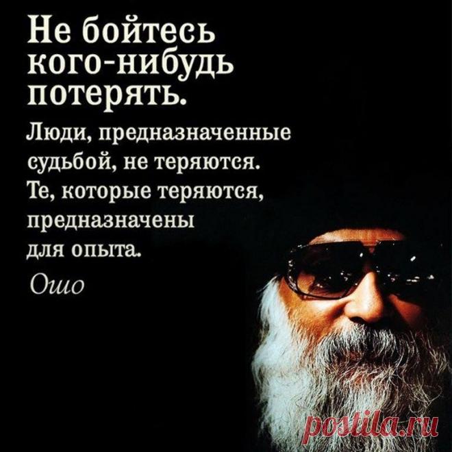 Без комментария