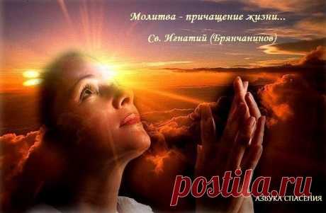 - Что является самым быстрым в этом мире? Звук? Свет? 
- Молитва, потому что она известна Богу до того, как ты её произнёс.
