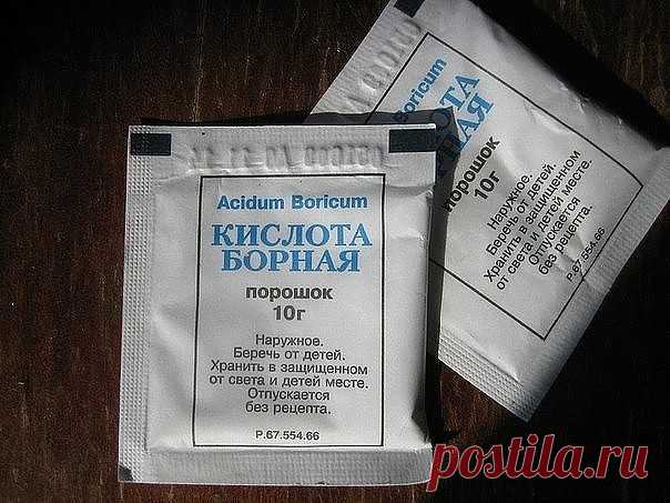 Такое вещество, как бор, необходим растениям для того, чтобы максимально снабдить корневую систему кислородом. Его отсутствие значительно снижает уровень поступления кальция к органам растения.
Для того чтобы был всегда цветущий, красивый сад, а в огороде — щедрый урожай, в арсенале любого садовода и огородника имеется одно необходимое средство с содержанием бора.
Применение борной кислоты в саду и огороде
Благодаря подкормке, в состав, которой входит борная кислота, расте...