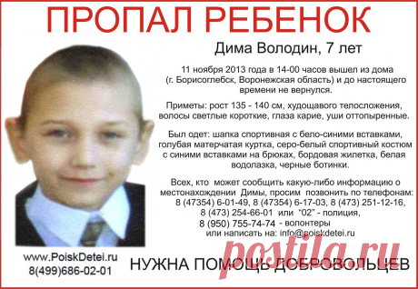ПРОПАЛ РЕБЕНОК! Дима Володин, 7 лет, г. Борисоглебск Воронежской области. Просим распространить информацию!.