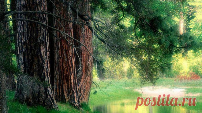 Обои весна на рабочий стол. Картинки обои весна-4