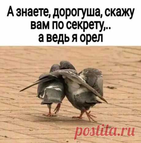 #юмор