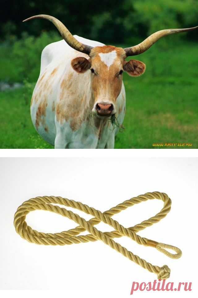 Предсказание - без гадалки ..:)