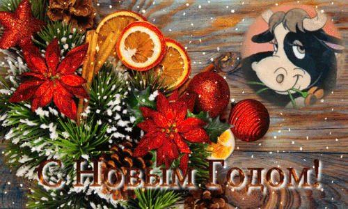 НОВОГОДНИЙ КОФЕ – 🎸🎵~~~ᏁИᎮИԿ६ႺҠᎯЯ ႺŢᎮᎽਮᎯ~~~, пользователь ℳℒℋί₸ -❧ | Группы Мой Мир