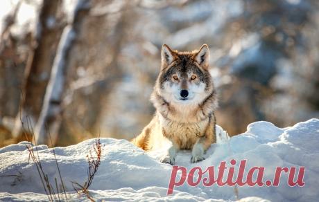Фотографии КУЧА КЛАССНЫХ КАРТИНОК - 10000 фото в Моем Мире.