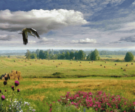 БЕЛОРУССКИЕ ПЕЙЗАЖИ