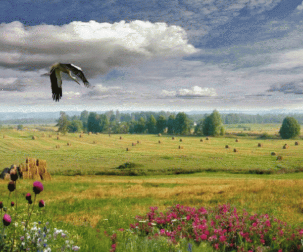 БЕЛОРУССКИЕ ПЕЙЗАЖИ