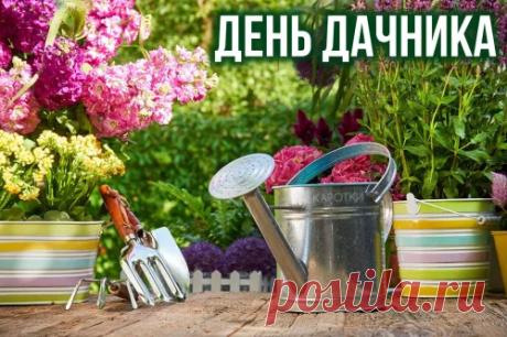 На День дачника желаю
С удовольствием работать —
Сеять, рыхлить и копать,
Каждый корешок с заботой
Вам растить, оберегать!