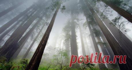 птичий рай аггельский национальный парк: 15 тыс изображений найдено в Яндекс.Картинках