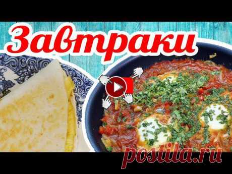 Быстрые завтраки! Омлет в лепешке + Шакшука! Сразу два рецепта! #быстрыйзавтрак #омлет #шакшука

вяжем снегурочку крючком схема