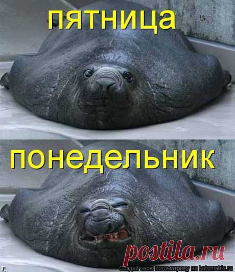ничего с этим не поделаешь.....
