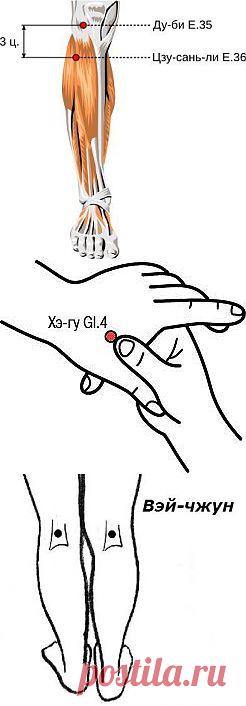 Полезные биологически активные точки. Четыре общие точки Сы Цзун Сюэ.