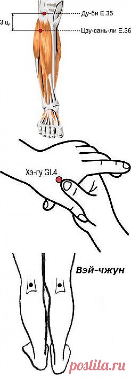Полезные биологически активные точки. Четыре общие точки Сы Цзун Сюэ.