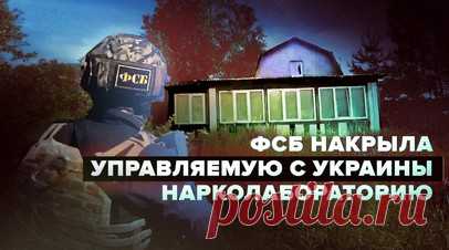 В Подмосковье ФСБ ликвидировала подпольную нарколабораторию, контролируемую с территории Украины. В подмосковной Шатуре сотрудники ФСБ России устранили подпольную лабораторию по производству особо крупных партий синтетических наркотических средств. В ведомстве уточнили, что участники ОПГ — уроженцы Украины и производство контролировалось с её территории. Были изъяты производное запрещённого средства общей массой не менее 57 кг, 4 тонны наркосодержащей жидкости, а также лабораторное…