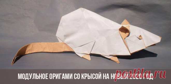 Содержание1 Первое знакомство1.1 Классика2 Модульная красота2.1 Мастер-классы по созданию модульных композиций2.2 Модульная мышка для самых маленьких2...