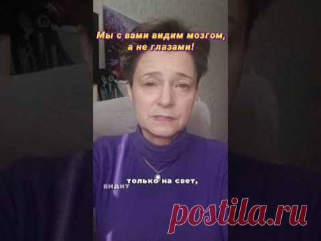 Мы видим МОЗГОМ,а не глазами;)