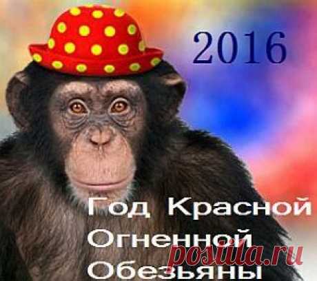 В чем же встречать Новый 2016 год? Ну во-первых, цвета-фавориты года красной Обезьяны: синий, зеленый, фиолетовый, желтый, красный, розовый, черный. Прелестным дамам стоит внимательно подбирать праздничный новогодний наряд, основываясь на предпочтениях талисмана года – Обезьяны. Отдайте предпочтение красному цвету, теплым оттенкам, а также всем нарядам, имеющим золотые элементы.