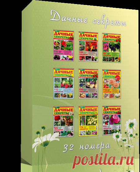 Дачные секреты (32 номера)

«Дачные секреты» - это универсальный помощник всем садоводам и огородникам. В каждом номере: наиболее интересные советы читателей, мнение экспертов и рекомендации специалистов по благоустройству садового участка. Основные рубрики журнала: на огороде, работы в саду, плодовый сад, цветник, своими руками, будьте здоровы, дачные рецепты.