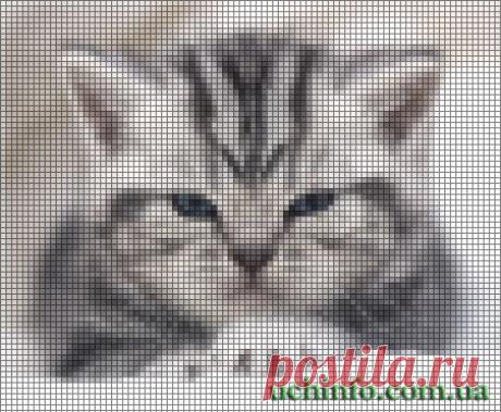 Как делать схемы для вышивки в программе PhotoShop